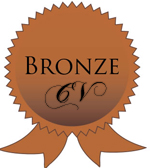 Contrast Valeting Bronze Valet